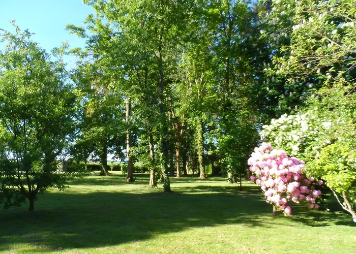 De L'epinay Mirabelle